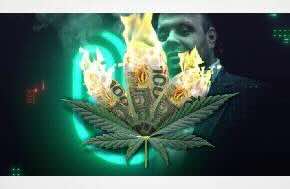 Investigation: Follow The Money: The J. Fields Cannabis Pyramid Scheme Money Laundering Trail